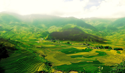 600922 (a): :2750x1600